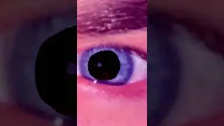 DSCTV. Huge Trippy Ganj Travňas (pt.I)