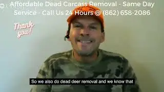 Secret Behind Dead Carcass Removal in NJ Revealed! CALL US 24 HOURS (862) 658-2086