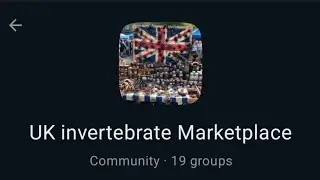 UK Invertebrate Marketplace Is Now Open!