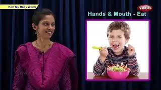 How Body Works | Science Basics For Kids | Science For Class 1 | Pebbles Online Class