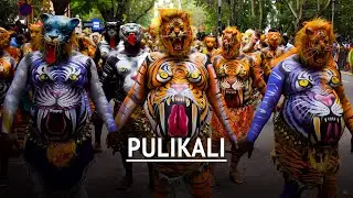 Pulikali: Where Onam Finds Its Roar