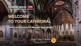 The Third Sunday in Ordinary Time - at Holy Name Cathedral, January 25, 2026