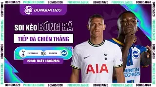 Tottenham VS Brighton: Trả mối hận xưa | BONGDADZO NHẬN ĐỊNH K&Egrave;O B&Oacute;NG H&Ocirc;M NAY