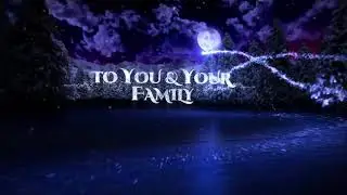 Happy Holidays and Happy New Year! from Elizabeth Leanza Realty One Group - Realtor