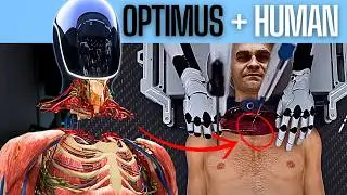 Elon Musk 2026 Tesla Optimus Robot Future or Hype? (AI NEWS)