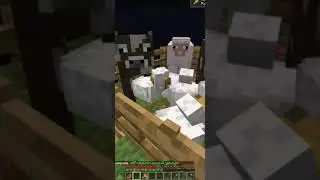 #recommended  #minecraft #oneblock #oneblocksurvival #minecraftshorts #keymine