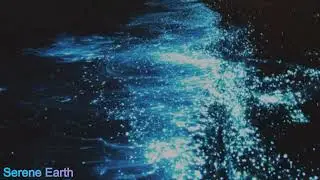 The Glowing Shores of the Maldives: Nature&rsquo;s Dazzling Light Show
