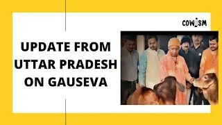 CCTV for Gau Ashray Sthals: Lots is happening in Uttar Pradesh!