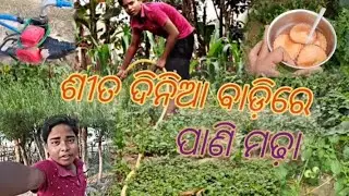 ଆଜି ବାଡ଼ିରେ ଏତେ ସାରା କାମ କାରିବାକୁ ପଡିଲା 😂|| Markona vlogger akasha|| village vlog || vlog