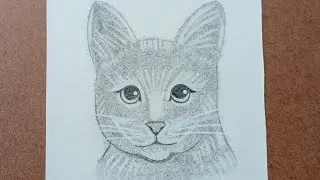 How to draw a easy cat face step by step||#art#drawing#pencil sketch