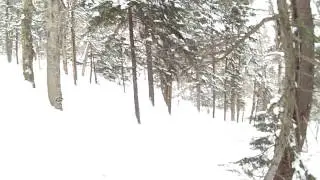 Kidderbrook Ravine