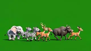 Baby Animal Stampede Green Screen Kids Version | All Wild Animals Running In One Frame