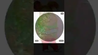 Коломбо #рекомендации #рек