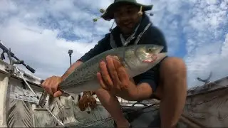 Fishing for MONSTER Snapper, Salmon, Flat head Ep -15