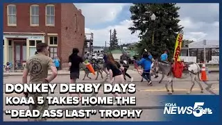 Donkey Derby Days: Our Team Takes on the Race (and a Special Trophy!)