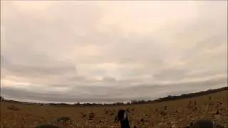 Decoy spread 2nd weekend GoPro Camera