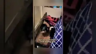 Фильм &laquo;Паразиты&raquo; в реальной жизни #короткометражки #новости