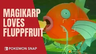 Pok&eacute;mon Snap Short Video Catching Magikarp Eating Fluffruit (Apples)