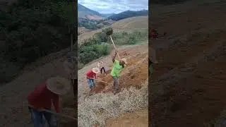 onde a M&aacute;quina n&atilde;o vai N&oacute;is VAI#agro #cafe