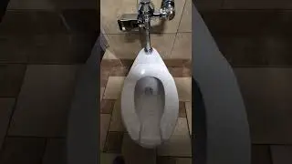 Lowe's @lowes #asmr #toilet #retail