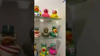 My rubber duck collection 🦆