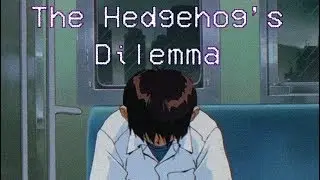 The Hedgehog's Dilemma (Lofi)