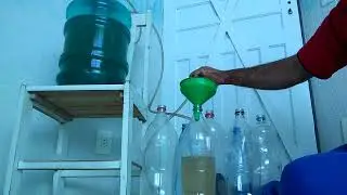 Vinho de jaca pronto para degusta&ccedil;&atilde;o .