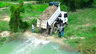 Start New Project!! Landfill in Big Pond support by dozer And Dump Trucks 5-T Unloading Soil
