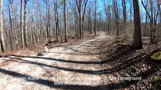 S Tree Camp ground review 1