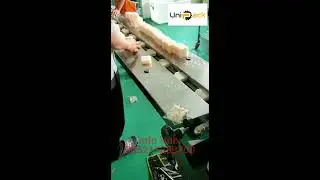 Horizontal Flow Wrap Machine