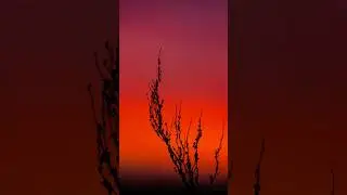 ✨ Goldene & Blaue Stunde &ndash; Die beste Zeit zum Fotografieren