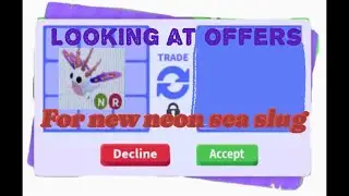 Looking at offers for the new neon sea slug!