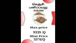 பனிப்பயிறு செஞ்சி சந்தை விலை/Snow Pea chenchi Market Price