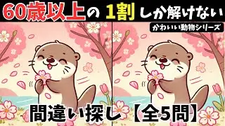 【間違い探し】かわいい動物シリーズ #16｜50代60代でも楽しい脳トレ5問！