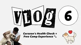 Corazon&rsquo;s Health Check + Free Camp Experience 🐾 #mypet #minivlog 