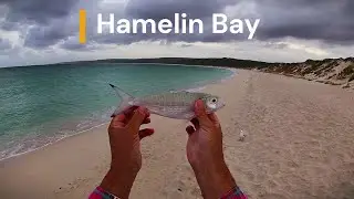 Hamelin Bay Beach Fishing !