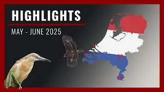 Highlights May - June 2025