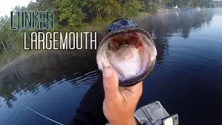 Lunker Largemouth Bass caught in small Lake using Senko