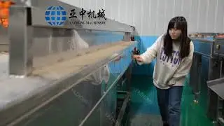 flat roller cleaning machine for sale | vegetable and fruit flat roller cleaning machine 2020 new