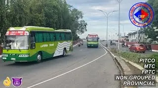 PITCO, MTC, FPTC, Non-Grouped and Provincial Buses