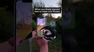 And it&rsquo;s easy! (Look in bio) #ar #photographer #livephoto #artechnology