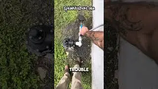 How to Resolve Overlooked Irrigation Issues Like a Pro