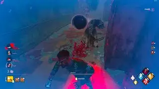 nurse blink bug? - Dead by daylight