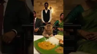 Poor Baby Monkey function emotional😭  You Won Heartwarming Rescue Story #monkey #rescue #emotional