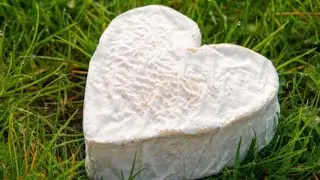Discover Coeur du Neufch&acirc;tel: The Heart of French Cheese