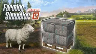 Sheeps Feeding and sell wool in fs16 | Fs16 Sheeps | Timelapse |