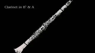 23 Clarinets - Clarinet Choir - Mozart, Symphony no. 25 1st Mov.