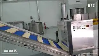 Hard Dough Cutting Machine & Dough Climbing Conveyor, Golden Bake Biscuit Production