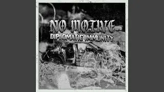 Diplomatic Immunity