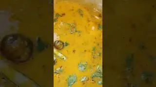 Desi daal in instant pot #food #daal #dailyvlog
